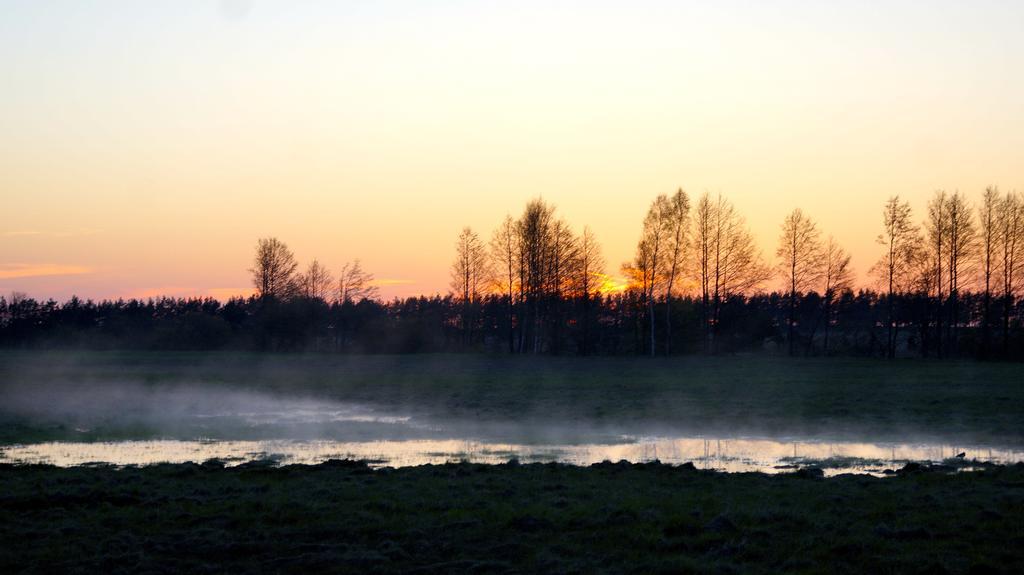 Zaku Krogs Jurkalne Buitenkant foto